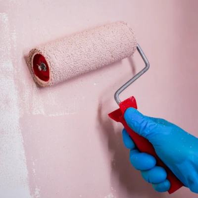 contact nesi painter